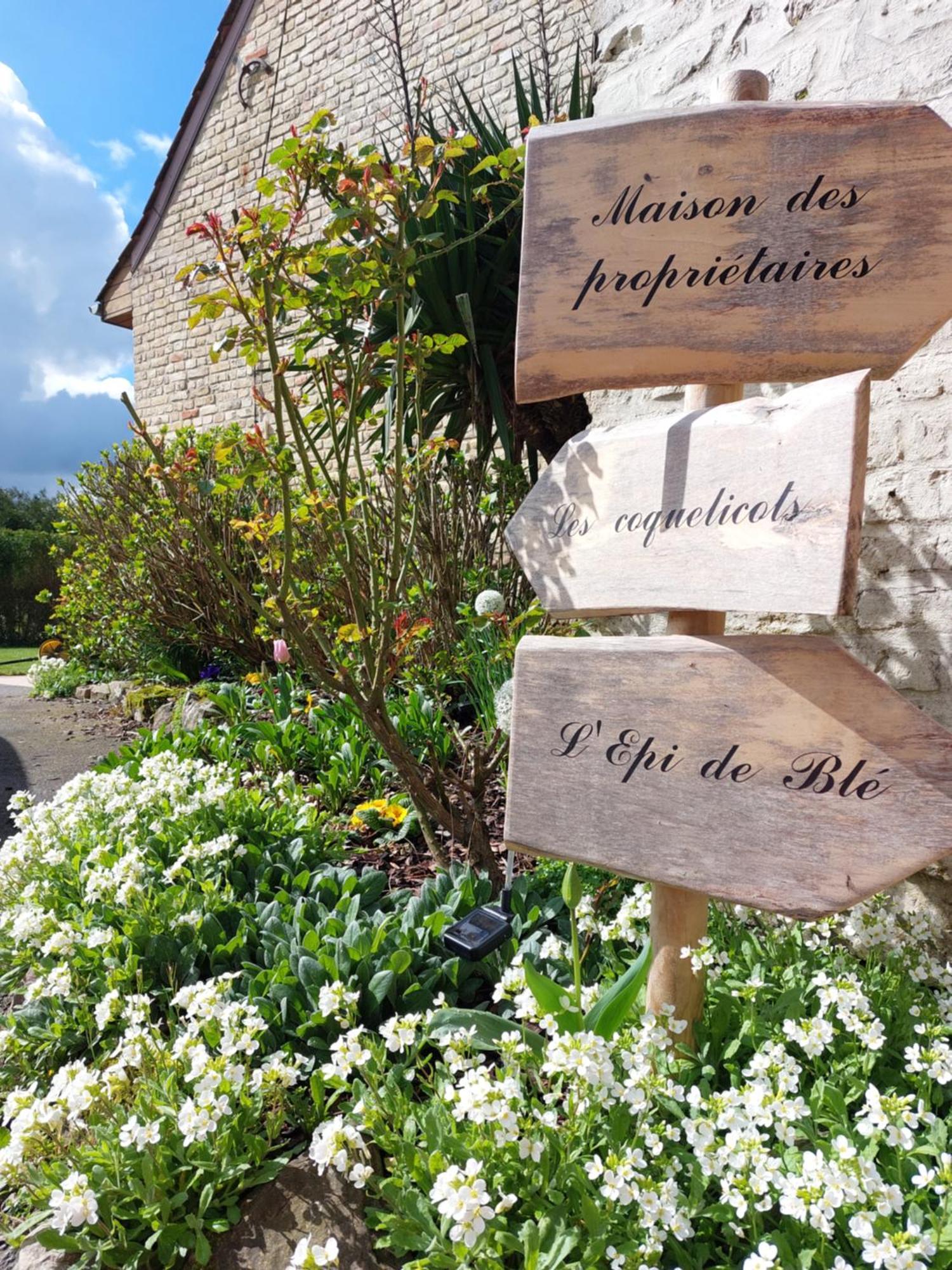 Les Coquelicots Villa Lacres Phòng bức ảnh